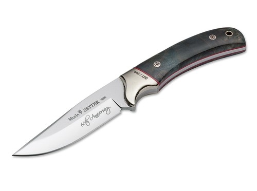 Muela setter anniversary - setter,